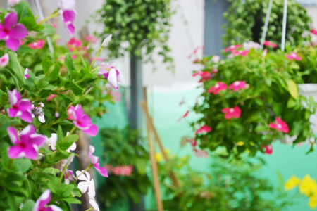 Đi đến slide 9