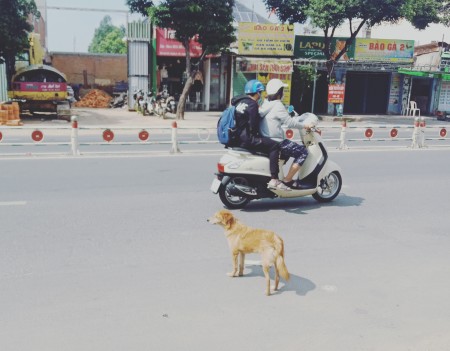 Đi đến slide 2