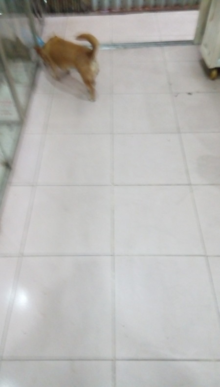 Đi đến slide 5