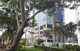 Cho thuê căn hộ Calla Garden 77m2 3pn Nguyễn Văn Linh, Phong Phú, Bình Chánh. Giá 8.5tr/th