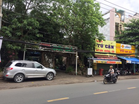Cho thuê nhà nguyên căn 5,5x20 mặt tiền đường Thống Nhất P11 Q Gò Vấp LH Mr Tranh