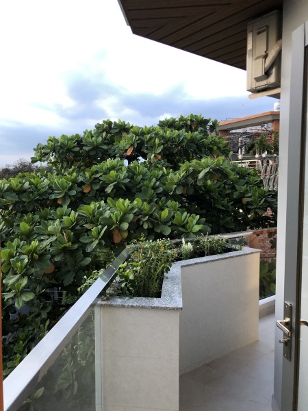 Đi đến slide 12