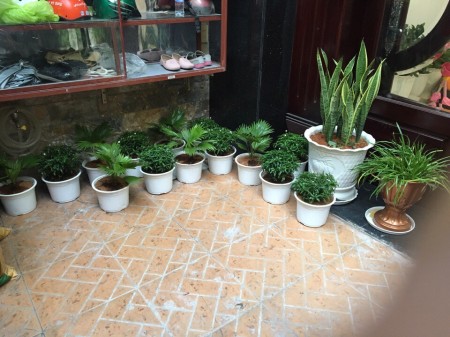 Đi đến slide 6