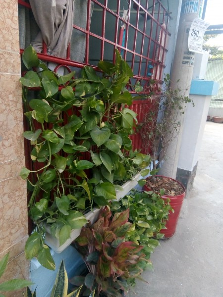 Đi đến slide 3