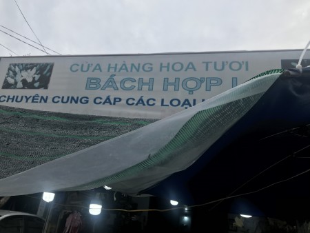 Đi đến slide 9