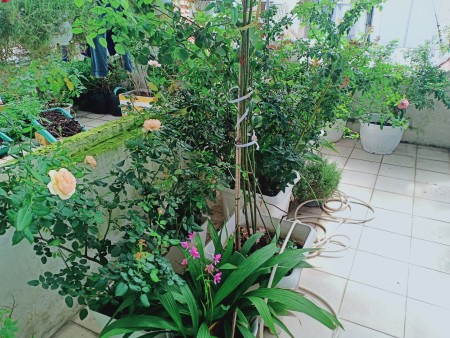 Đi đến slide 9