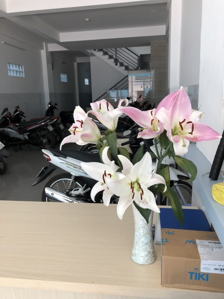 Đi đến slide 13
