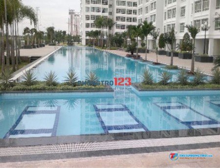Đi đến slide 14
