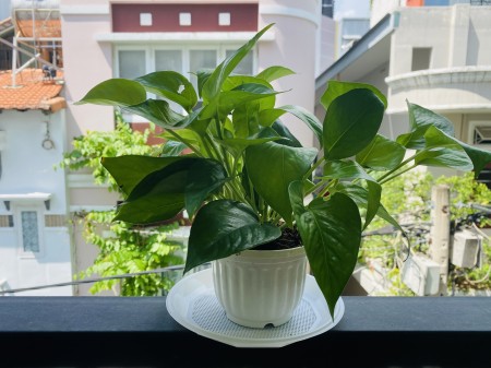 Đi đến slide 6