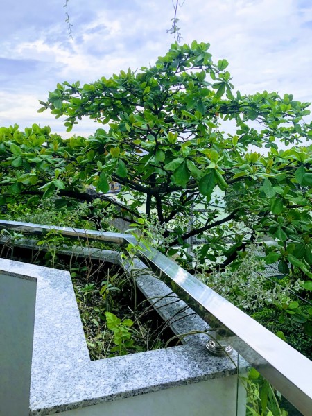Đi đến slide 11