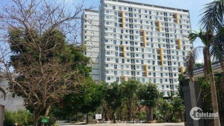 Cho thuê căn hộc hung cư Cao ốc Phố Đông - Hoa Sen 66m² 2PN