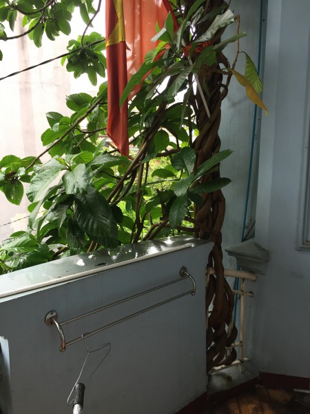 Đi đến slide 4