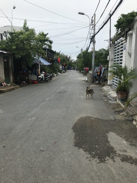 Đi đến slide 2