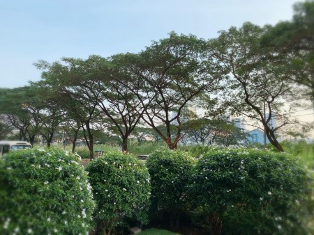 Đi đến slide 12