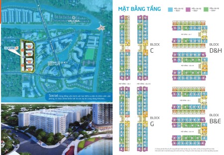 Đi đến slide 8