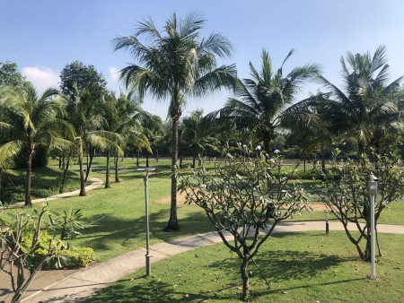 Đi đến slide 11