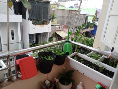 Cần tìm nữ ở ghép gấp ở đường Bạch Đằng, quận Bình Thạnh