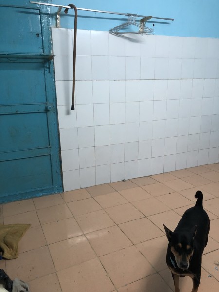 Đi đến slide 2