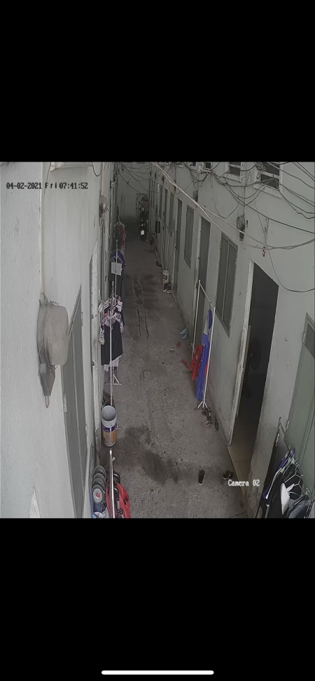 Đi đến slide 5