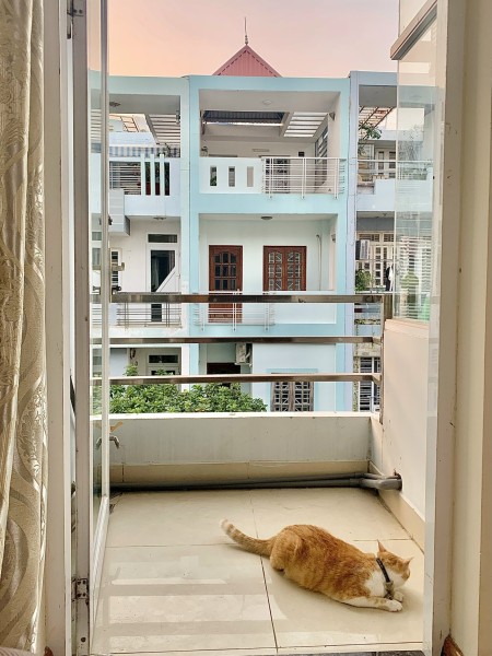Đi đến slide 8