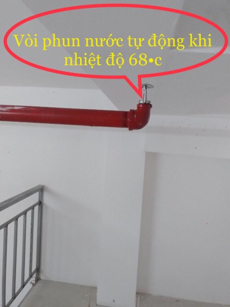 Đi đến slide 11