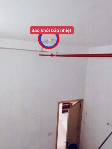 Đi đến slide 12