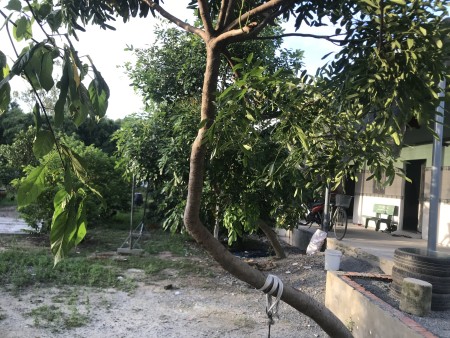 Đi đến slide 5