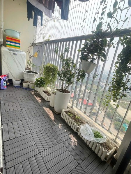 Chung cư Ruby Garden, Nguyễn Sỹ Sách, P15, TB, 87m2, 2PN, 11tr/tháng.