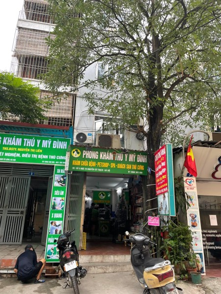 Đi đến slide 8