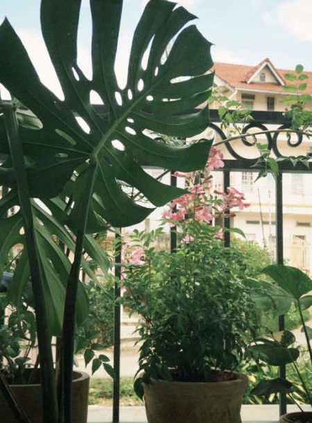 Đi đến slide 5