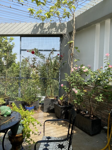 Đi đến slide 6
