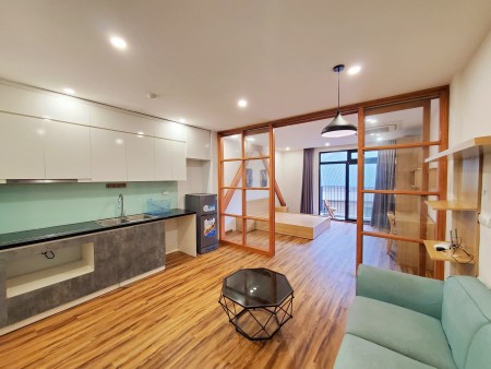 CHÍNH CHỦ CHO THUÊ CĂN HỘ 1 NGỦ 1 KHÁCH ĐƯỜNG TRẦN DUY HƯNG