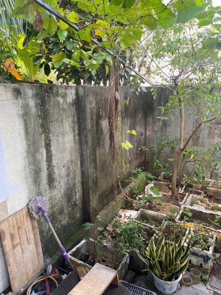  Cho thuê nhà nguyên căn – Gò Cát, TP Thủ Đức