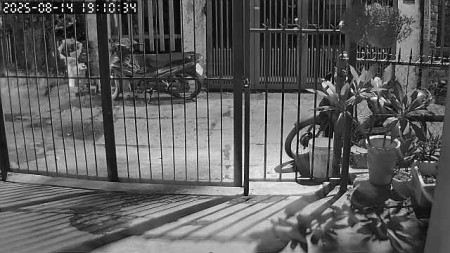 Tìm người ở ghép nhà nguyên căn