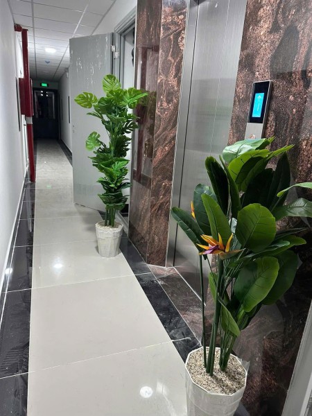 Đi đến slide 8