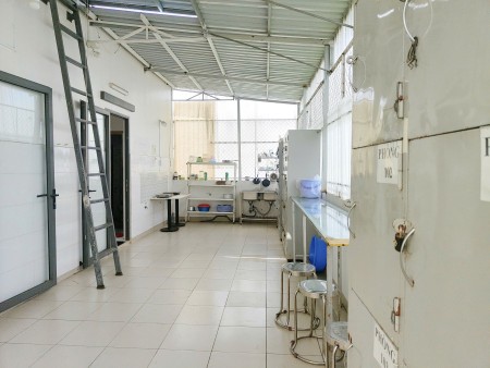 Đi đến slide 15