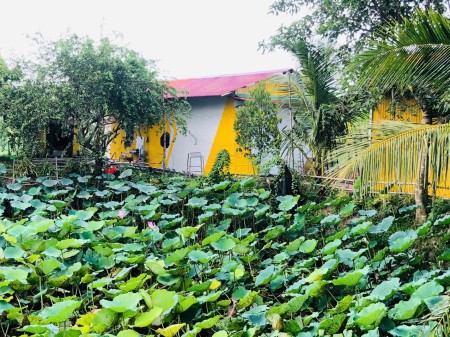 Nhà trọ homestay view ao sen cực chill, có nội thất gần bxe bus Hưng Long