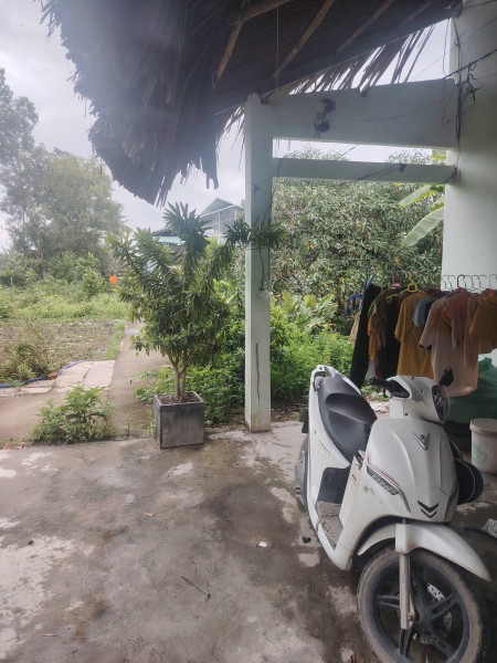 Đi đến slide 6