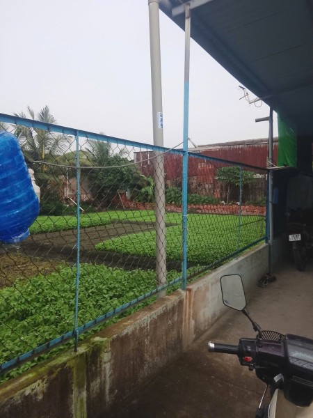 Đi đến slide 7