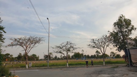 Đi đến slide 6