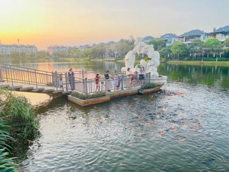 Chính chủ cho thuê căn hộ dịch vụ Lakeview City - Quận 2