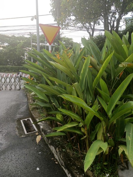 Đi đến slide 10