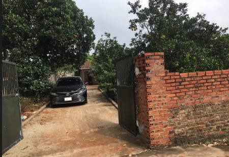 Đi đến slide 10
