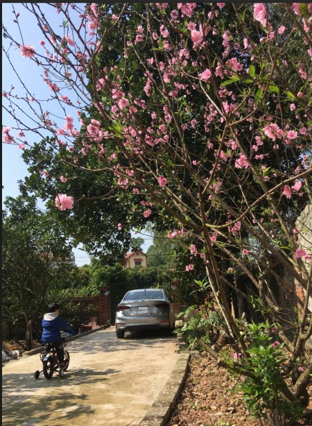 Đi đến slide 19