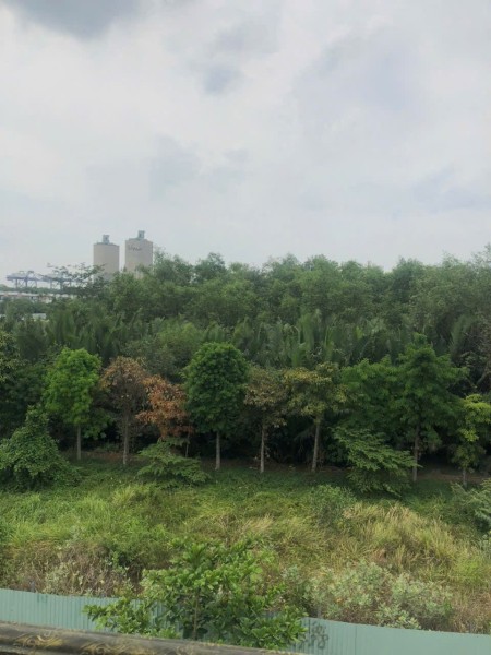 Đi đến slide 10