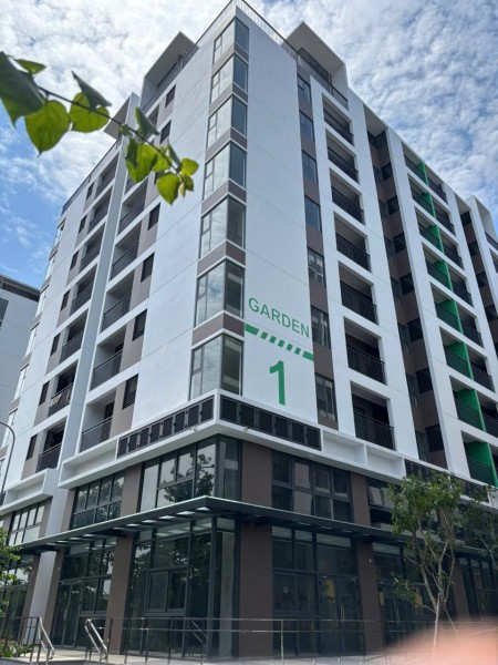 Đi đến slide 3