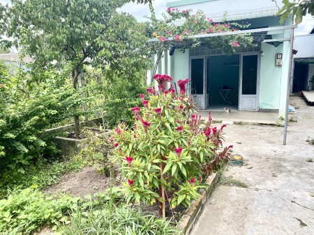 CHO THUÊ NHÀ GẤP 100 M2 ẤP 7,Đ.AN HẠ,PHẠM VĂN HAI (cũ).