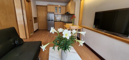 Chính chủ cho thuê căn hộ 1K 1N full đồ tại Tô Ngọc Vân, Tây Hồ