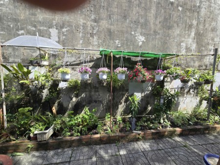 Cần cho thuê nhà cấp 4 có sân đậu xe hơi và sân vườn rộng rãi