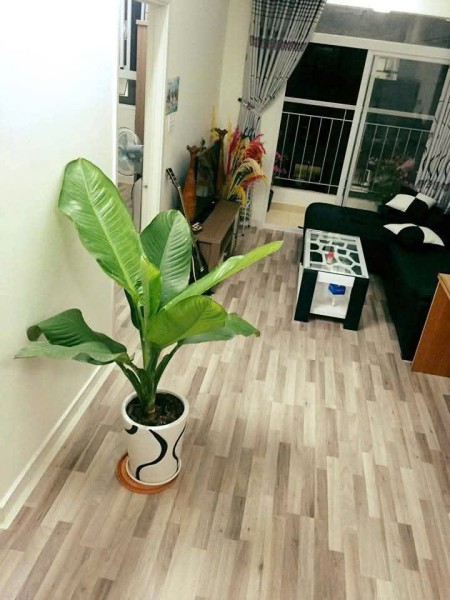 Chung cư Tecco, Phan Văn Hớn, Q12: 65m2, 2p ngủ, 2wc, ban công, 6tr5